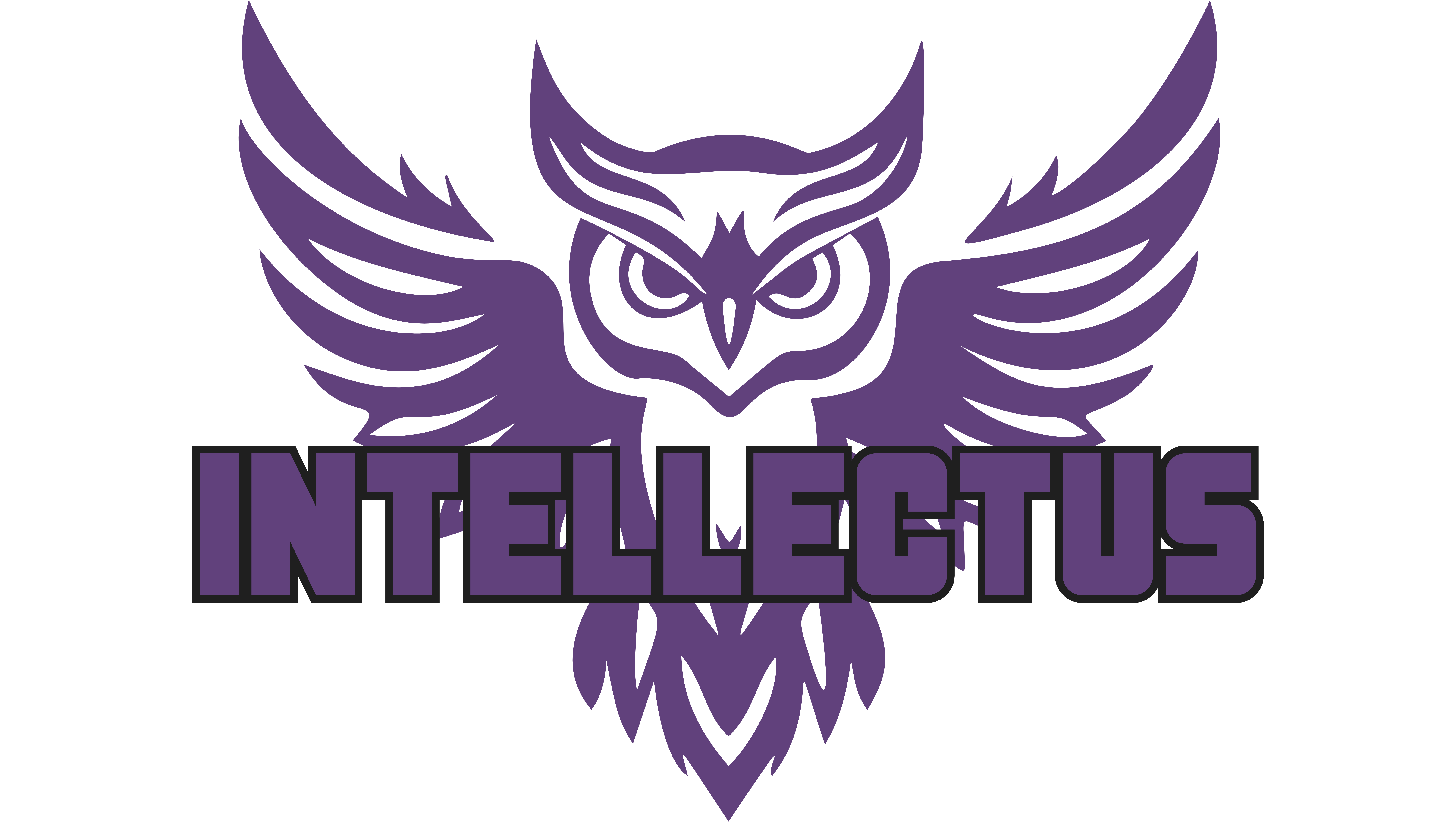 intellectus
